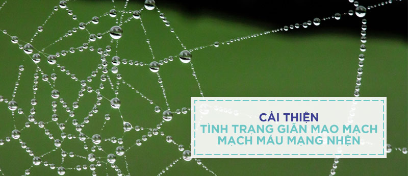 Điều trị giãn mao mạch