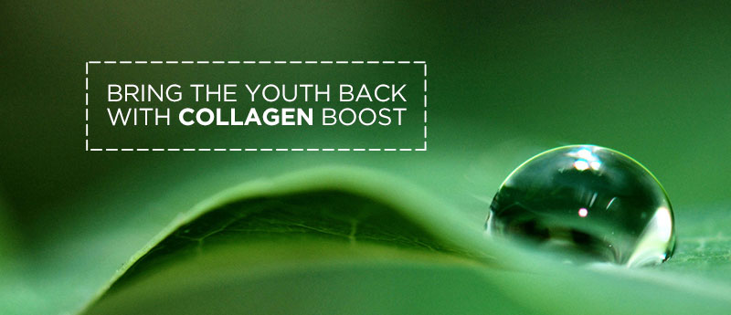 Bring back skin elasticity with Collagen