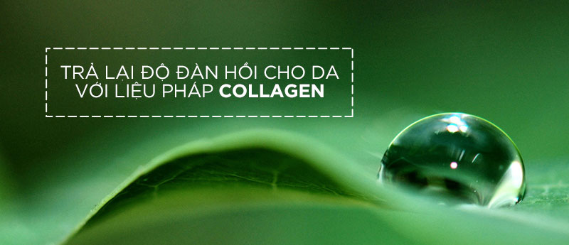 collagen trong chăm sóc da mặt chuyên sâu