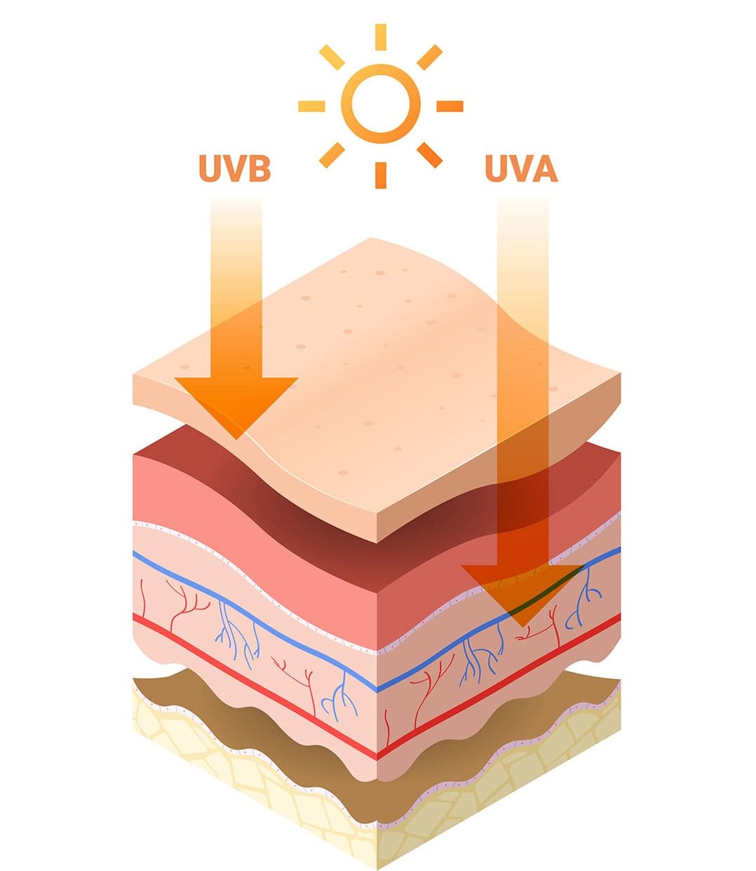 NHỮNG ĐIỀU CHƯA BIẾT VỀ CHỈ SỐ CHỐNG NẮNG SPF, PA