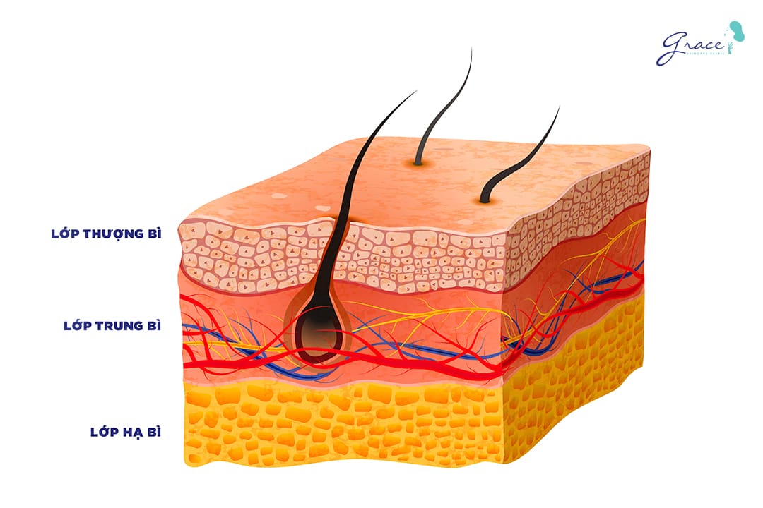 Cách phục hồi da hư tổn và những nguyên nhân khiến da bị tổn thương