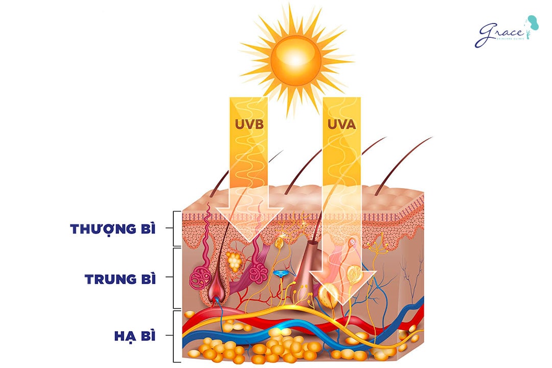 tia uv gây lão hóa da tuổi 30